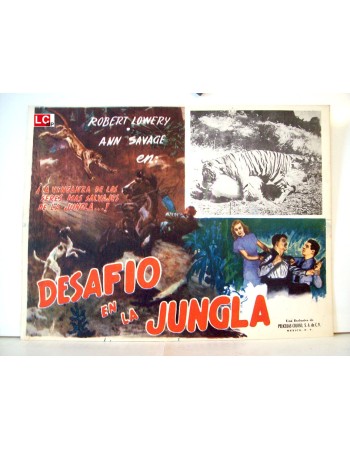 Jungle Flight