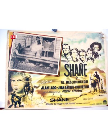 SHANE