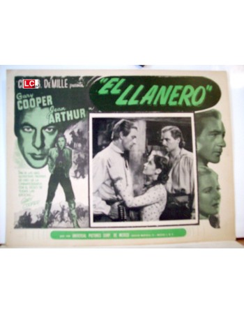 THE PLAINSMAN