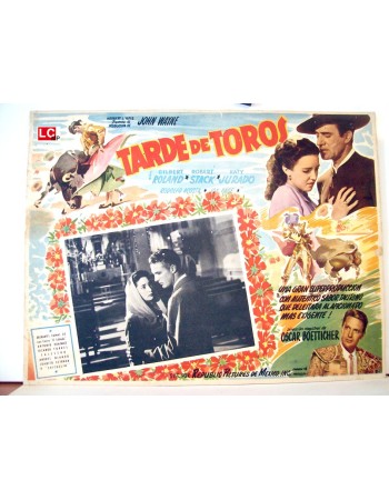 TARDE DE TOROS