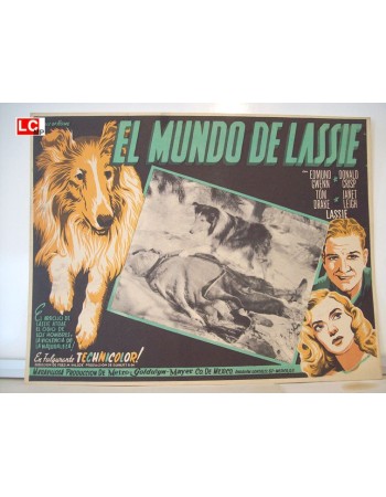 LASSIE OF HOME