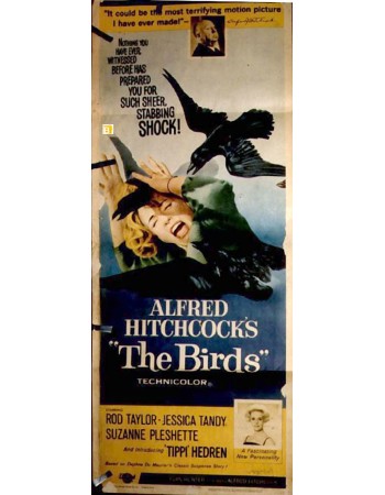 THE BIRDS
