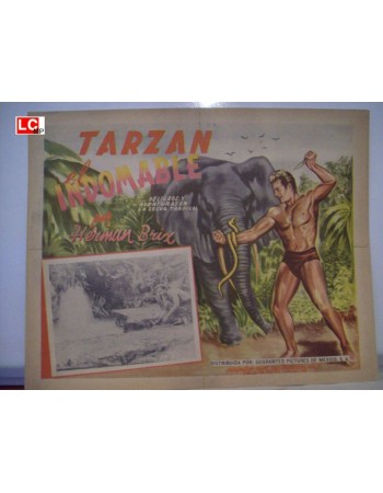 THE NEW ADVENTURES OF TARZAN