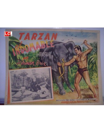THE NEW ADVENTURES OF TARZAN