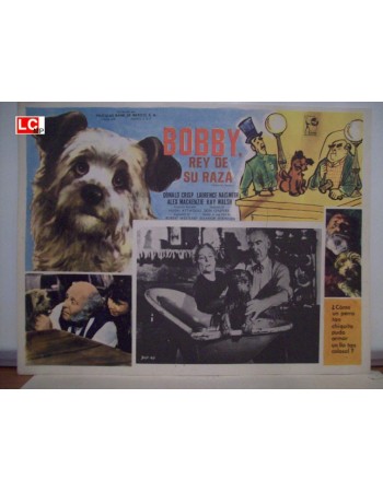 Greyfriars Bobby: The True Story of a Dog