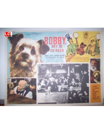 Greyfriars Bobby: The True Story of a Dog