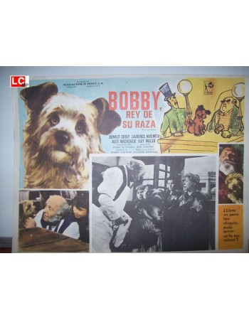 Greyfriars Bobby: The True Story of a Dog