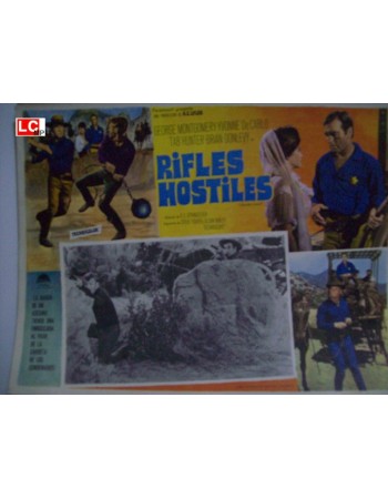 Hostile Guns