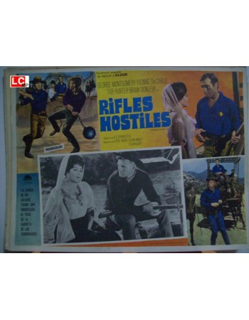 Hostile Guns