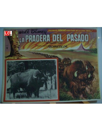 THE VANISHING PRAIRE