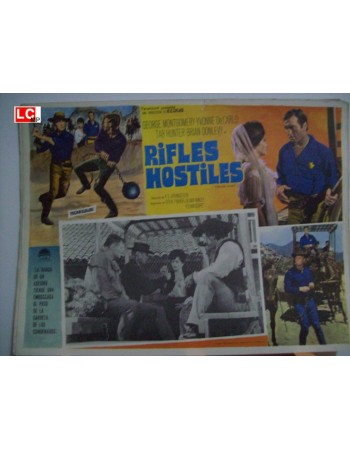 Hostile Guns