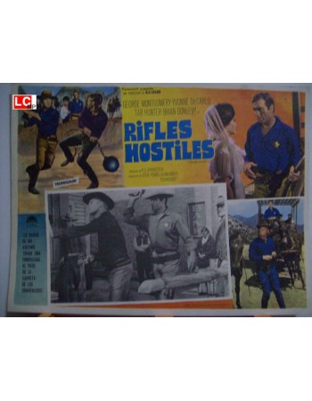 Hostile Guns