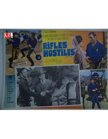 Hostile Guns