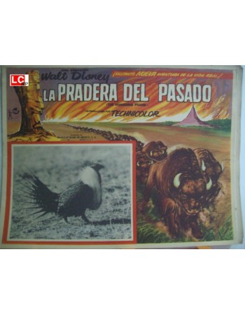 THE VANISHING PRAIRE