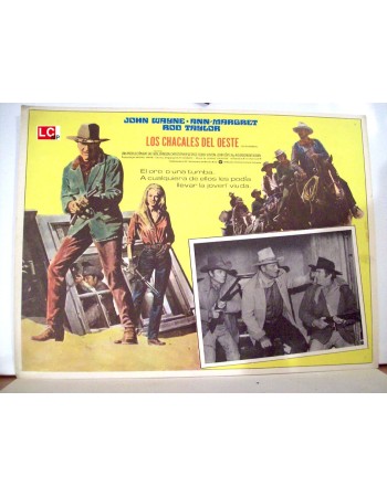 THE TRAIN ROBBERS